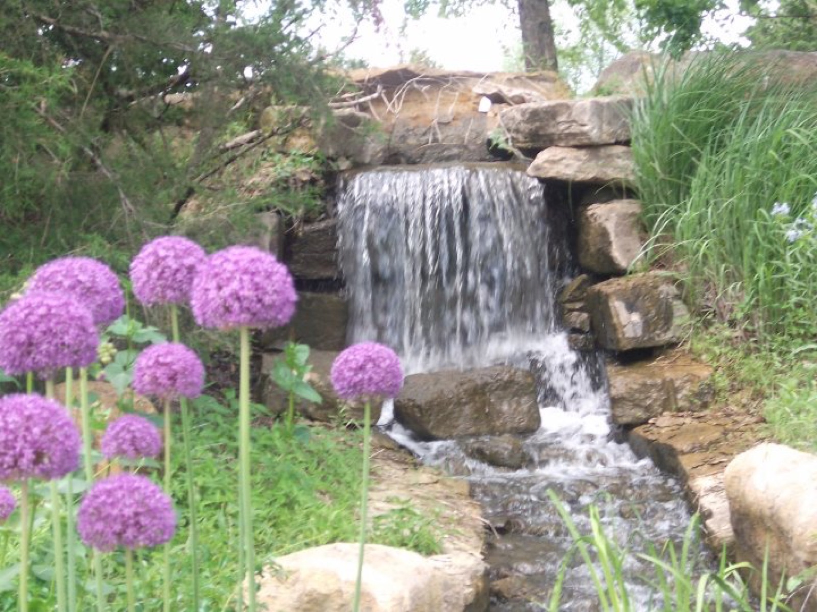 Waterfall and flowers at the Overland Park Arboretum and Botanical Gardens
